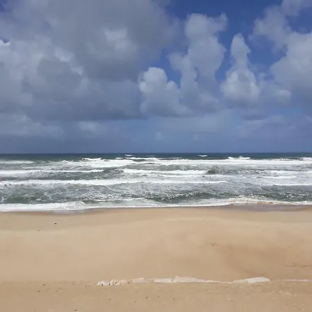 Do * Pedrogao (Leiria)